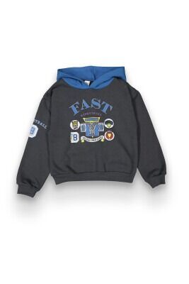 Wholesale Boys Sweatshirt 6-9Y Tuffy 1099-323 Anthracite Color
