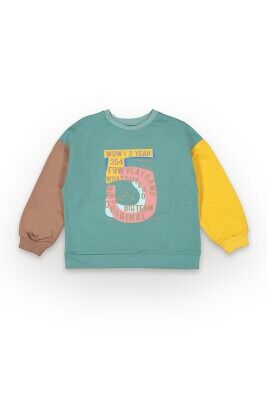 Wholesale Boys Sweatshirt 6-9Y Tuffy 1099-7110 - Tuffy
