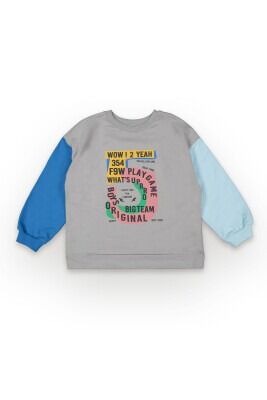 Wholesale Boys Sweatshirt 6-9Y Tuffy 1099-7110 - Tuffy (1)