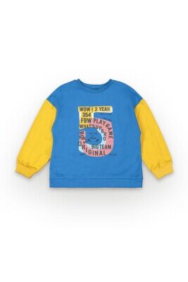Wholesale Boys Sweatshirt 6-9Y Tuffy 1099-7110 Saxe