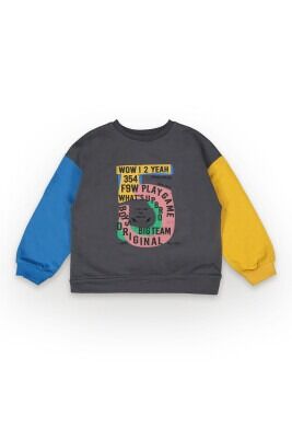 Wholesale Boys Sweatshirt 6-9Y Tuffy 1099-7110 Anthracite Color