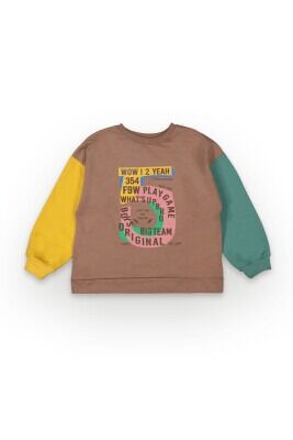 Wholesale Boys Sweatshirt 6-9Y Tuffy 1099-7110 Light brown