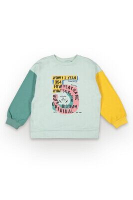 Wholesale Boys Sweatshirt 6-9Y Tuffy 1099-7110 Nile Green