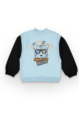 Wholesale Boys Sweatshirt 6-9Y Tuffy 1099-7114 Ice blue