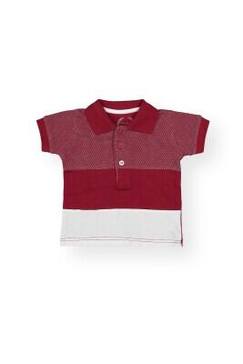 Wholesale Boys T-Shirt 1-4Y Divonette 1023-1197-2 Claret Red