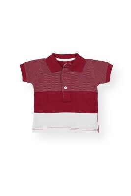 Wholesale Boys T-Shirt 1-4Y Divonette 1023-1197-2 - Divonette (1)