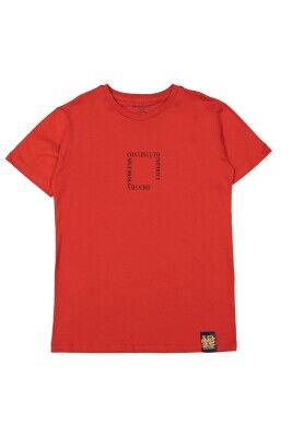 Wholesale Boys T-shirt 13-16Y Divonette 1023-7551-5 Orange