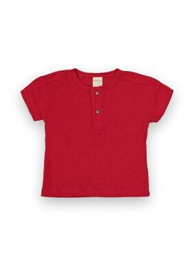 Wholesale Boys T-shirt 13-16Y Divonette 1023-9624-5 - Divonette