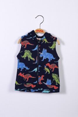 Wholesale Boys Vest with Hooded 1-4Y Zeyland 1070-221Z2LPY24 - Zeyland