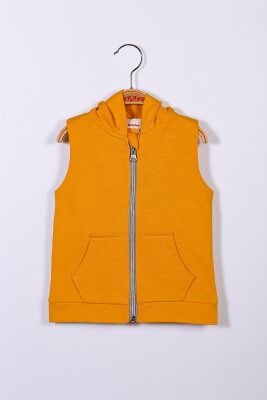 Wholesale Boys Vest with Hooded 1-4Y Zeyland 1070-221Z2LPY24 Yellow