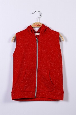 Wholesale Boys Vest with Hooded 5-12Y Zeyland 1070-221Z2LPY22 - Zeyland (1)