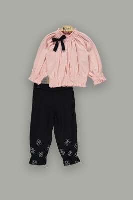 Wholesale Girls 2-Piece Pants Set with Blouse 2-5Y Kumru Bebe 1075-3905 Pink