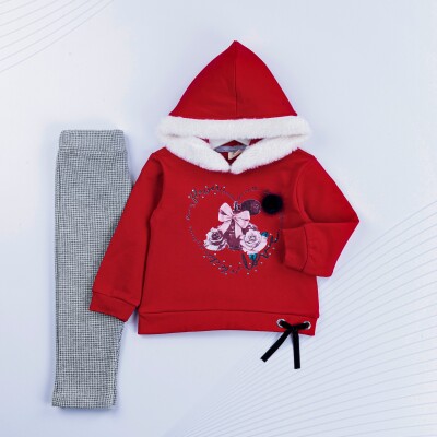 Wholesale Girls 2-Piece Sweatshirt and Pants Set 1-4Y Sani 1068-4960 - Sani