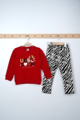Wholesale Girls 2-Piece Sweatshirts and Leggings Set 3-6Y Elnino 1025-21604 - Elnino (1)