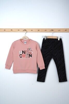 Wholesale Girls 2-Piece Sweatshirts and Leggings Set 3-6Y Elnino 1025-21604 Salmon Color 