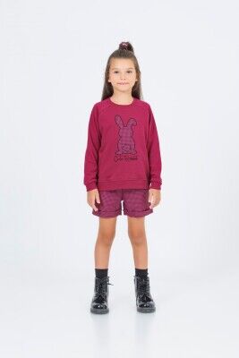 Wholesale Girls 2-Piece T-Shirt and Shorts Set 5-9Y DMB Boys&Girls 1081-9672 Fuschia