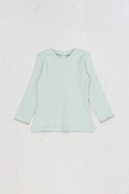 Wholesale Girls Basic Long Sleeve T-Shirt 9-14Y DMB Boys&Girls 1081-9691 Mint Green 