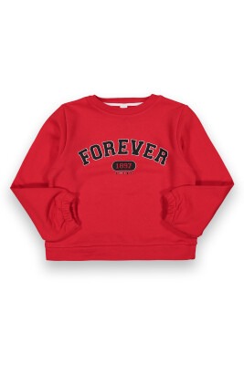 Wholesale Girls Sweatshirt 10-13Y Tuffy 1099-160 - Tuffy (1)