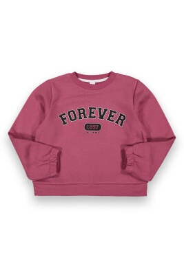 Wholesale Girls Sweatshirt 10-13Y Tuffy 1099-160 Dusty Rose