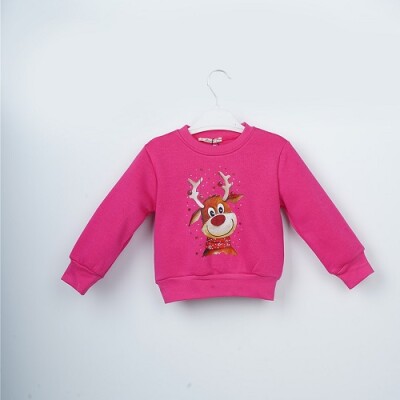 Wholesale Girls Sweatshirt 3-6Y Büşra Bebe 1016-23254 Fuschia