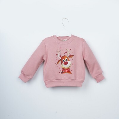 Wholesale Girls Sweatshirt 3-6Y Büşra Bebe 1016-23254 Dusty Rose