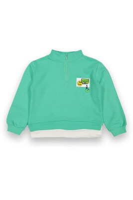 Wholesale Girls Sweatshirt 6-9Y Tuffy 1099-118 - Tuffy