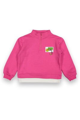 Wholesale Girls Sweatshirt 6-9Y Tuffy 1099-118 - Tuffy (1)