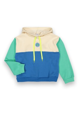 Wholesale Girls Sweatshirt 6-9Y Tuffy 1099-124 - Tuffy (1)