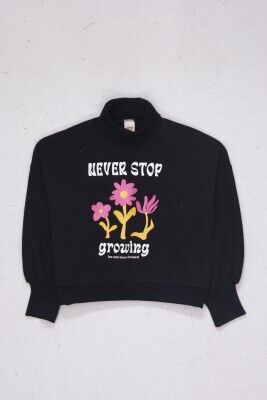 Wholesale Girls Sweatshirt 9-14Y DMB Boys&Girls 1081-9686 - DMB Boys&Girls