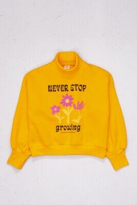 Wholesale Girls Sweatshirt 9-14Y DMB Boys&Girls 1081-9686 - DMB Boys&Girls (1)