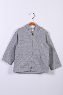 Wholesale Unisex Kids Hooded Cardigan 1-4Y Zeyland 1070-221Z2LPY21 Gray