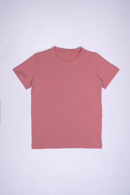 Wholesale Unisex Short Sleeve Basic T-shirt 1-4Y Interkidsy Basic 2027-2309 Blanced Almond